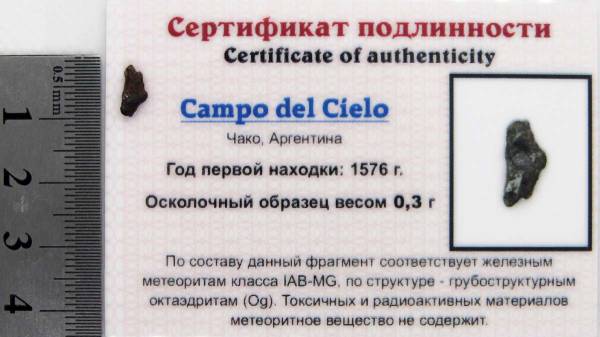 Осколок метеорита Campo del Cielo