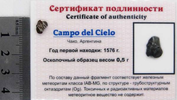 Осколок метеорита Campo del Cielo