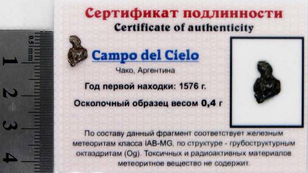 Осколок метеорита Campo del Cielo