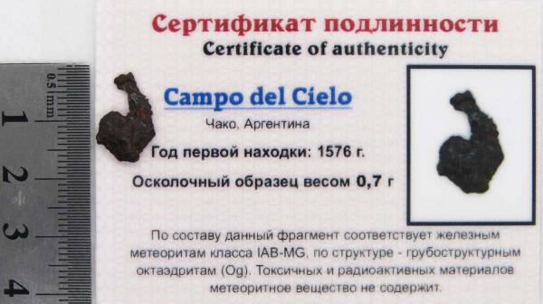 Осколок метеорита Campo del Cielo