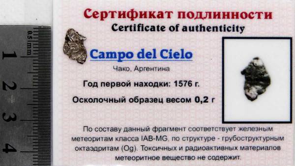 Осколок метеорита Campo del Cielo