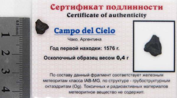 Осколок метеорита Campo del Cielo
