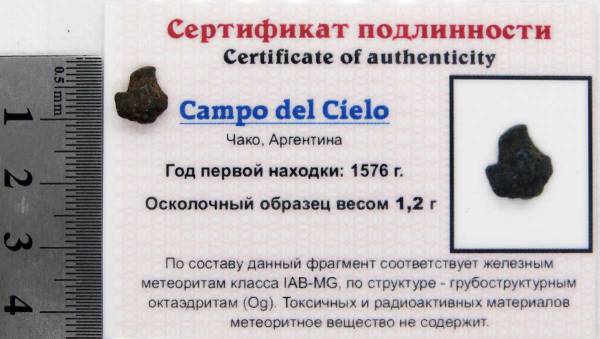 Осколок метеорита Campo del Cielo
