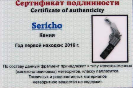 Кулон «Револьвер» с метеоритом Sericho, арт 3
