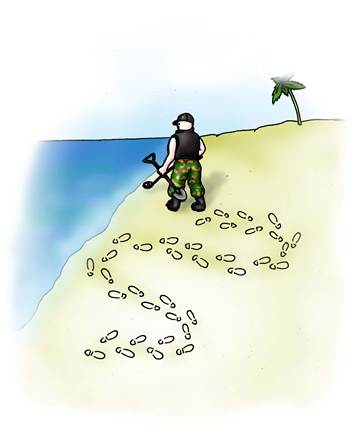 необходимо пройти с металлдодетектором весь пляж вдоль и поперек