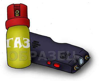 газовый баллончик или шокер