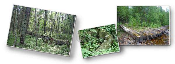 Лучше всего начать поиск просто с обследования местности