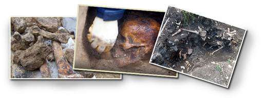 Надругательство над телами умерших и местами их захоронения