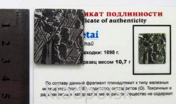 Спил метеорита Aletai, арт 29