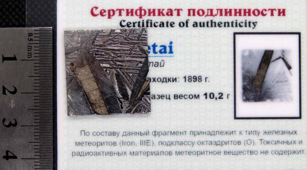 Спил метеорита Aletai