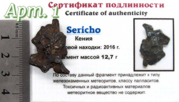 Осколок метеорита Sericho Осколок метеорита Sericho