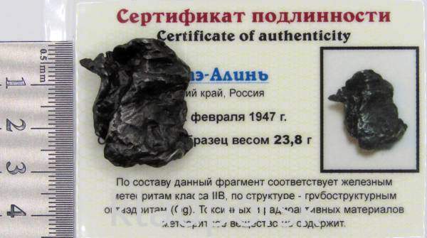 Осколок метеорита Сихотэ-Алинь арт 41