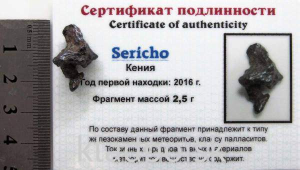 Осколок метеорита Sericho (арт 20) Осколок метеорита Sericho (арт 20)