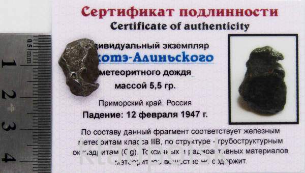 Индивидуальный экземпляр Сихотэ-Алиньского метеоритного дождя
