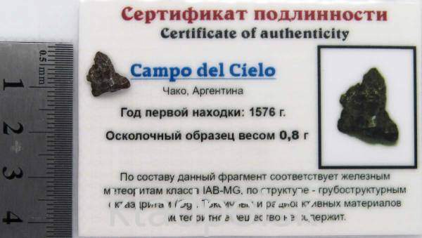 Осколок метеорита Campo del Cielo