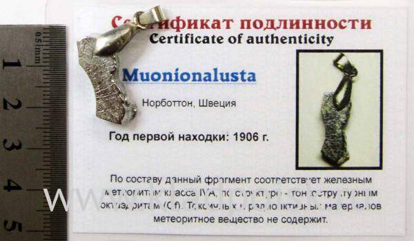 Подвеска из метеорита Муонионалуста (Muonionalusta), арт 18