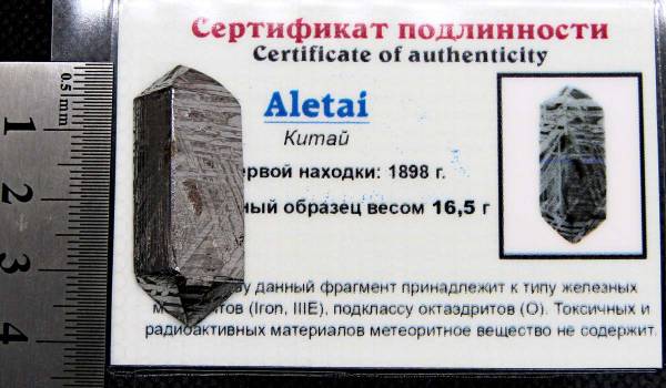 Ограненный осколок метеорита Aletai, арт 10