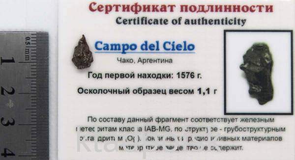 Осколок метеорита Campo del Cielo
