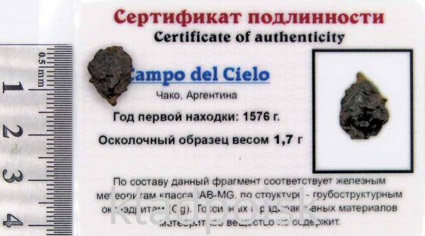 Осколок метеорита Campo del Cielo, арт 33