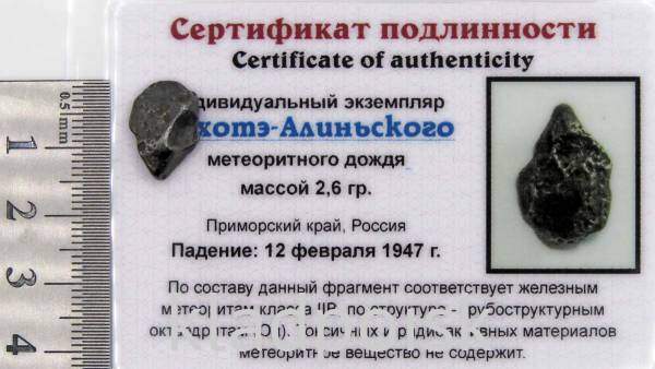 Индивидуальный экземпляр Сихотэ-Алиньского метеоритного дождя (арт 21)