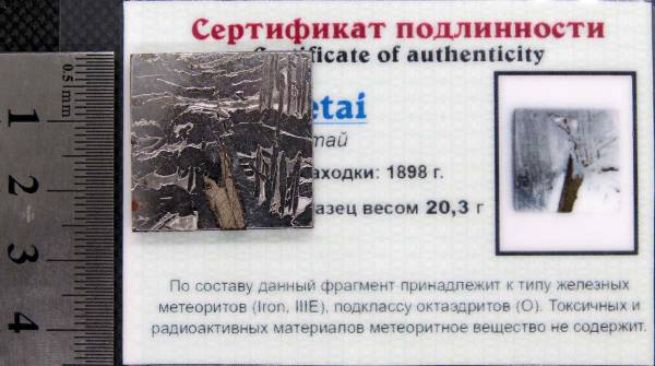 Спил метеорита Aletai