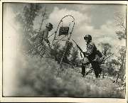 На занятиях. 