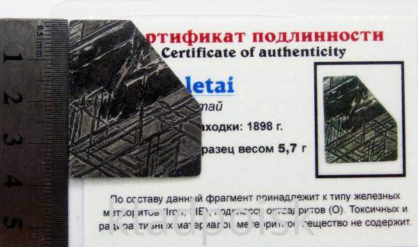 Спил метеорита Aletai, арт 23