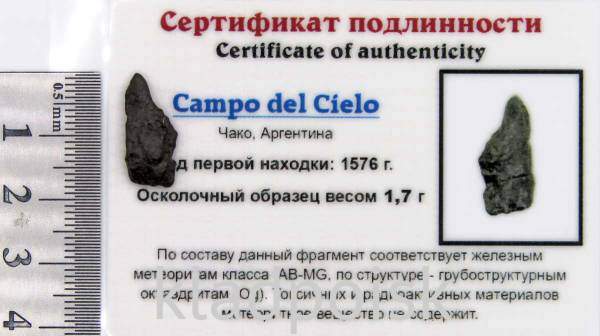 Осколок метеорита Campo del Cielo, арт 40