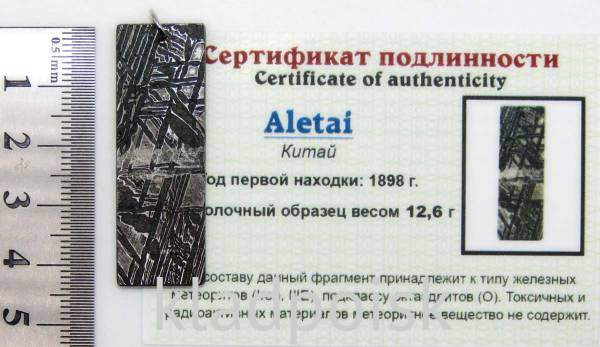 Подвеска из метеорита Aletai