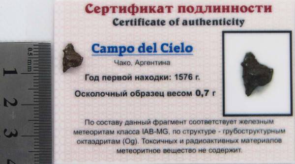 Осколок метеорита Campo del Cielo, арт 25 Осколок метеорита Campo del Cielo, арт 25
