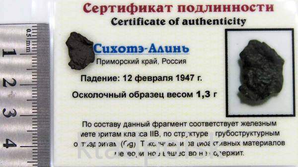Осколок метеорита Сихотэ-Алинь арт 45