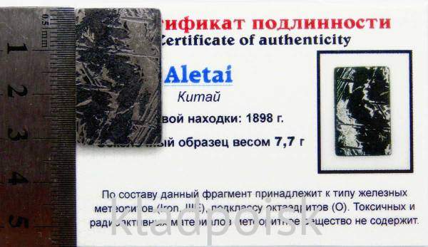Спил метеорита Aletai, арт 21
