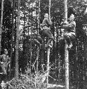 Прокладка телефонных линий связи