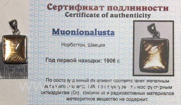 Подвеска из метеорита Муонионалуста (Muonionalusta) с позолотой (арт 12)