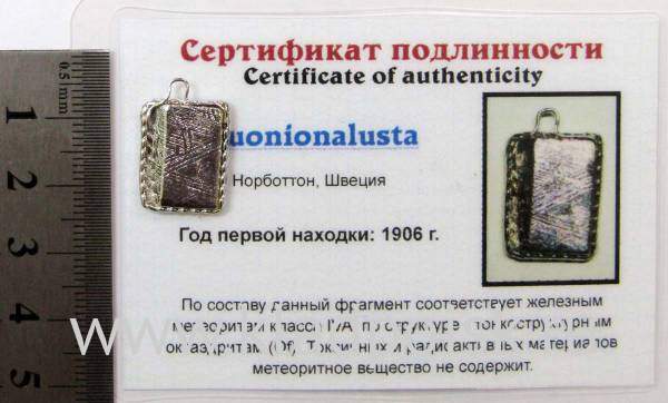 Подвеска из метеорита Муонионалуста (Muonionalusta), арт 11