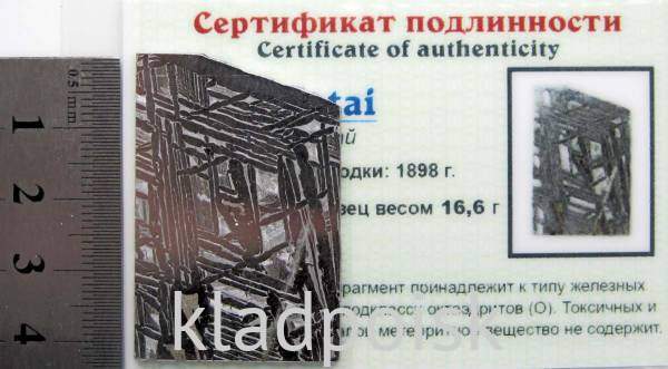 Спил метеорита Aletai, арт 12