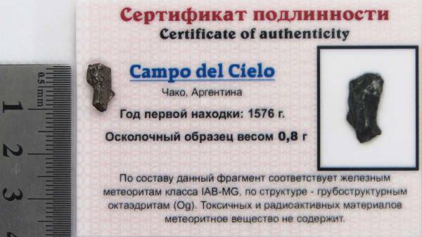 Осколок метеорита Campo del Cielo, арт 23 Осколок метеорита Campo del Cielo, арт 23