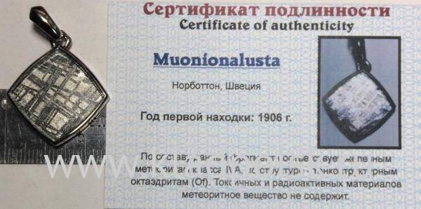 Подвеска из метеорита Муонионалуста (Muonionalusta) ромб, оправа из нержавеющей стали (арт 26)