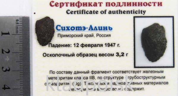 Осколок метеорита Сихотэ-Алинь арт 4