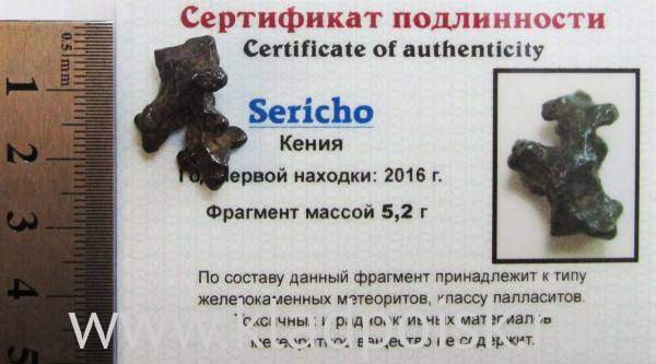 Осколок метеорита Sericho (арт 9) Осколок метеорита Sericho (арт 9)
