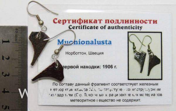 Серьги с метеоритом Муонионалуста (Muonionalusta), арт 3