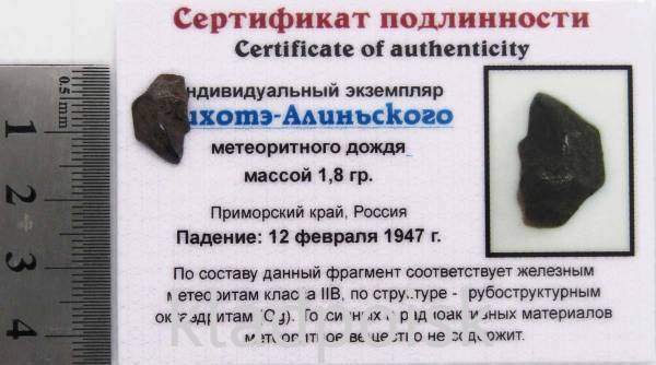 Индивидуальный экземпляр Сихотэ-Алиньского метеоритного дождя (арт 2) Индивидуальный экземпляр Сихотэ-Алиньского метеоритного дождя (арт 2)