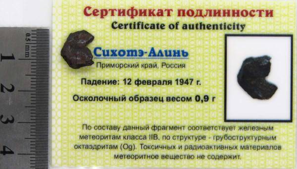 Осколок метеорита Сихотэ-Алинь арт 24