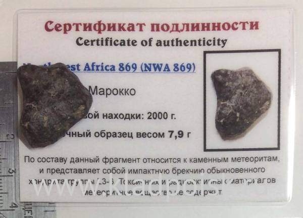 Осколок метеорита NWA 869, арт 5