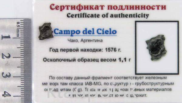 Осколок метеорита Campo del Cielo, арт 11