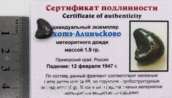 Индивидуальный экземпляр Сихотэ-Алиньского метеоритного дождя