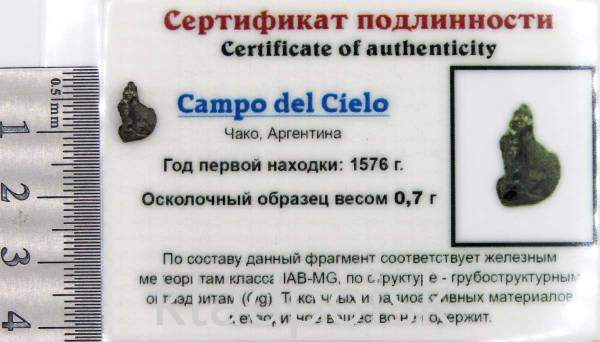 Осколок метеорита Campo del Cielo, арт 28