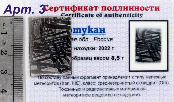 Спил метеорита Оротукан, арт 3 Спил метеорита Оротукан, арт 3
