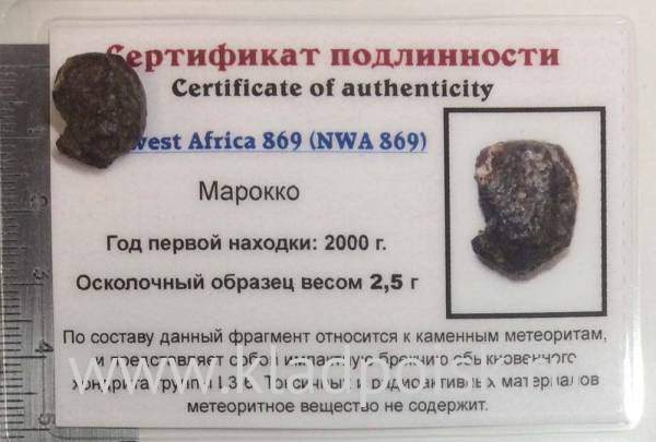 Осколок метеорита NWA 869