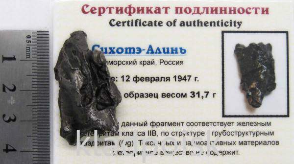 Осколок метеорита Сихотэ-Алинь арт 8